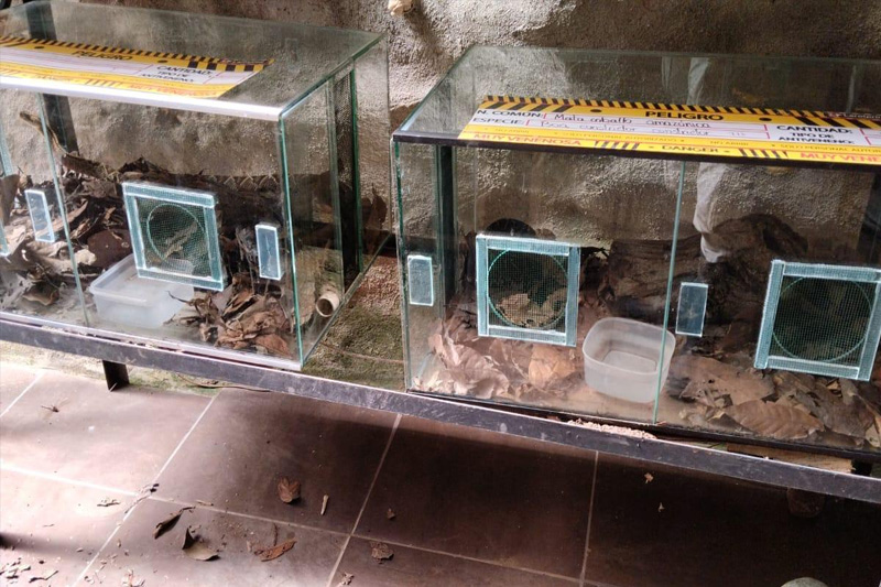 Centro de conservación de reptiles