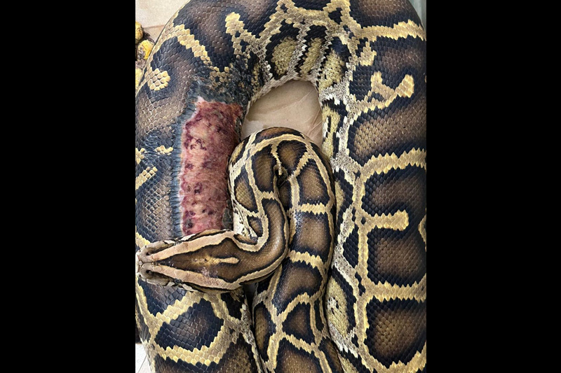 Centro de conservación de reptiles