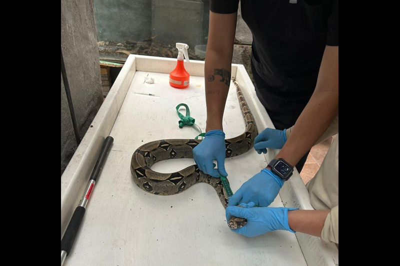 Centro de conservación de reptiles