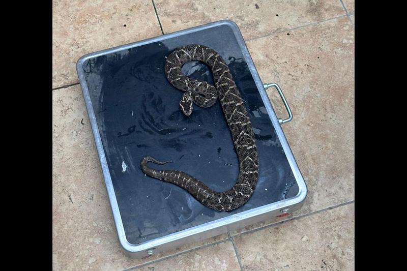 Centro de conservación de reptiles