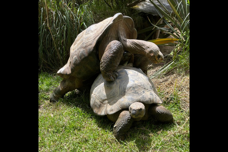 Centro de conservación de reptiles