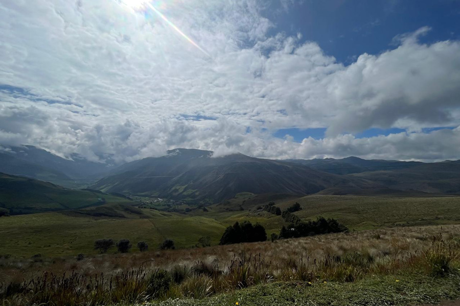 Culebra Corredora de Amaru