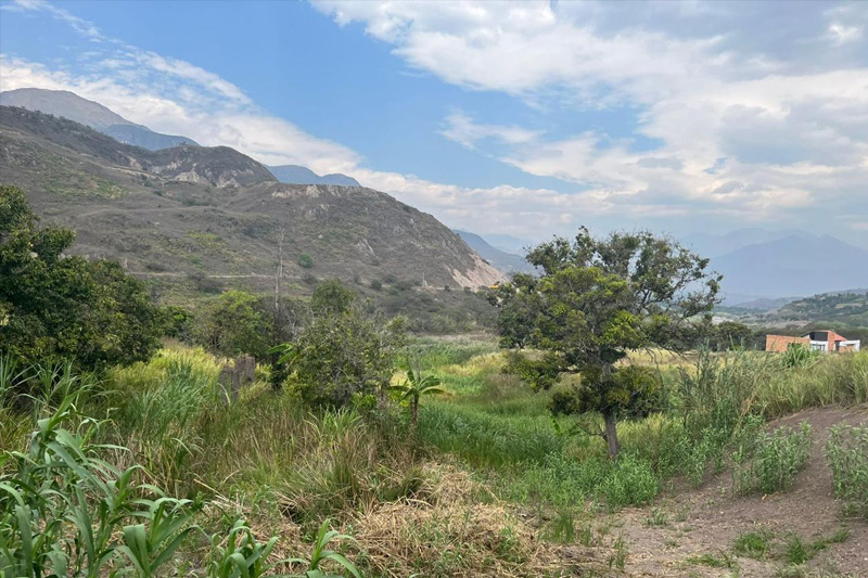 Guardianes de la Coliazul