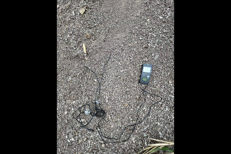 Guardianes de la Coliazul