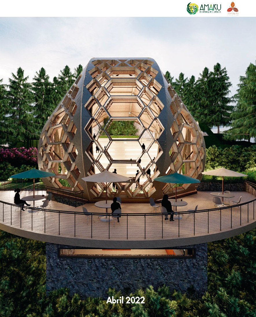 Proyecto Auditorio Amaru