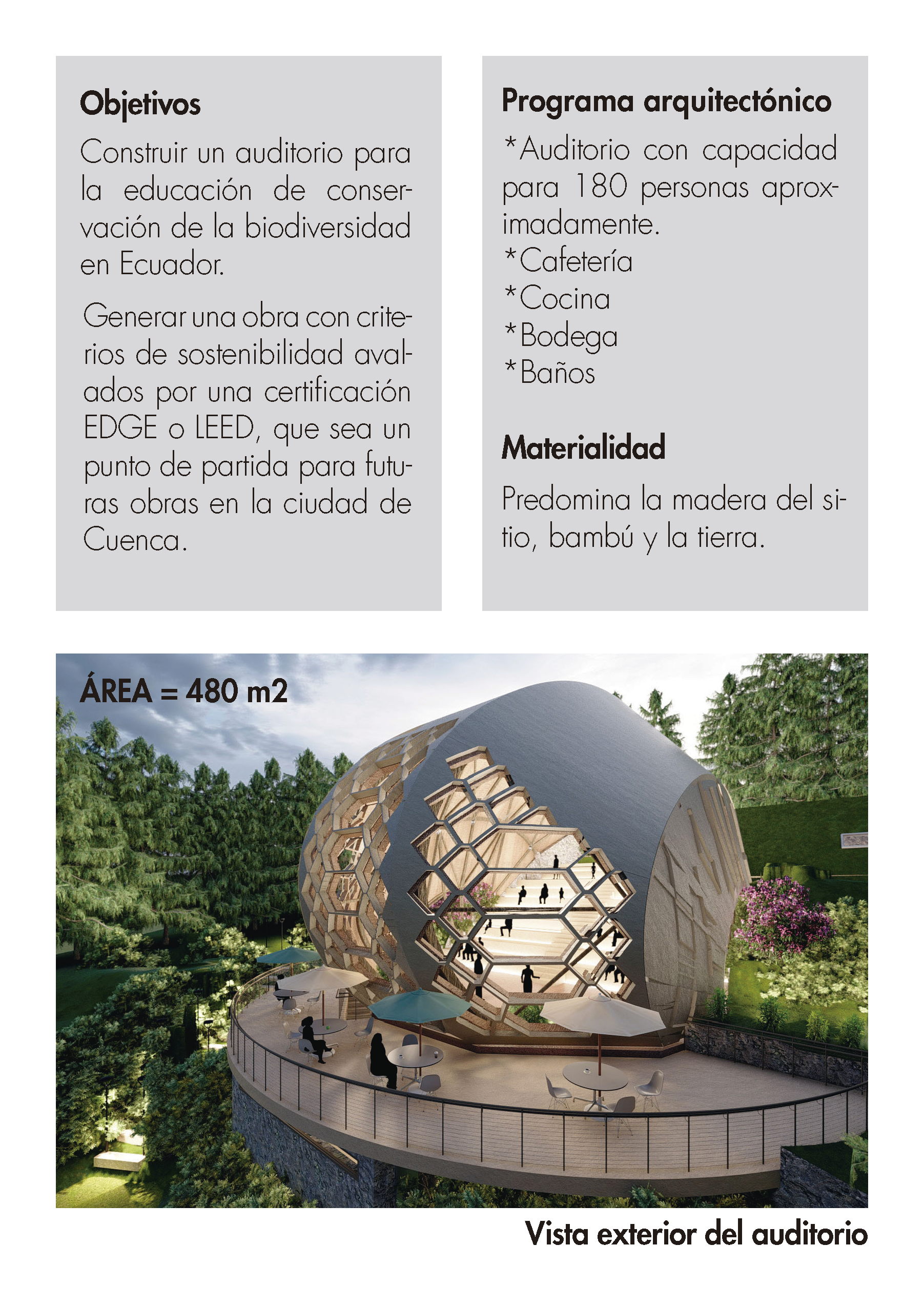 Proyecto Auditorio Amaru