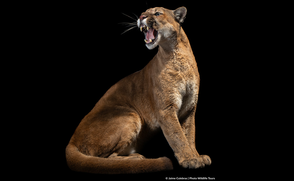 Reserva Selva Eterna