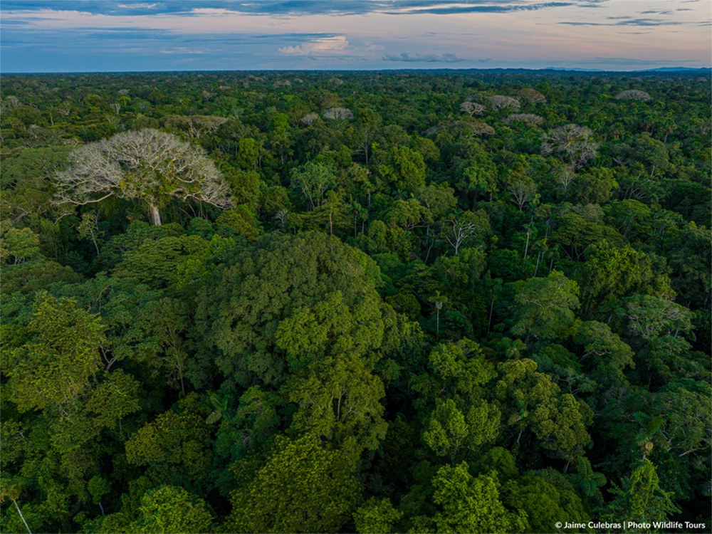 Reserva Selva Eterna